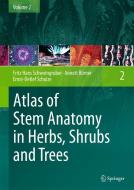 Atlas of Stem Anatomy in Herbs, Shrubs and Trees di Fritz Hans Schweingruber, Annett Börner, Ernst-Detlef Schulze edito da Springer-Verlag GmbH