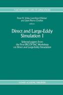 Direct and Large-Eddy Simulation I edito da Springer Netherlands