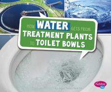 How Water Gets from Treatment Plants to Toilet Bowls di Megan Cooley Peterson edito da CAPSTONE PR