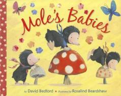 Mole's Babies di David Bedford edito da Tiger Tales