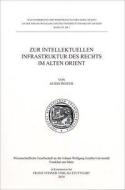 Zur intellektuellen Infrastruktur des Rechts im Alten Orient di Guido Pfeifer edito da Steiner Franz Verlag