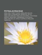 Physalacriaceae: Armillaria, Honey Fungu di Source Wikipedia edito da Books LLC, Wiki Series