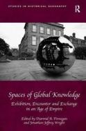 Spaces of Global Knowledge di Diarmid A. Finnegan, Jonathan Jeffrey Wright edito da Taylor & Francis Ltd