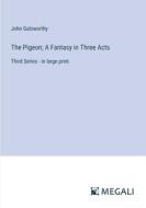 The Pigeon; A Fantasy in Three Acts di John Galsworthy edito da Megali Verlag