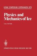 Physics and Mechanics of Ice edito da Springer Berlin Heidelberg