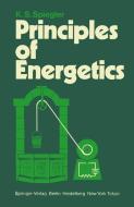 Principles of Energetics di P. Chartier, M. Gross, K. S. Spiegler edito da Springer Berlin Heidelberg
