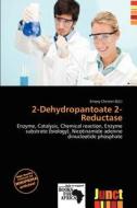 2-dehydropantoate 2-reductase edito da Junct