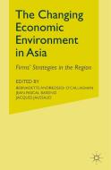 Changing Economic Environment in Asia edito da Palgrave Macmillan UK