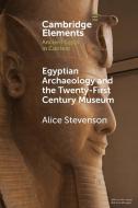 Egyptian Archaeology And The Twenty-First Century Museum di Alice Stevenson edito da Cambridge University Press