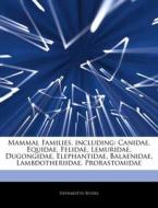 Mammal Families, Including: Canidae, Equ di Hephaestus Books edito da Hephaestus Books