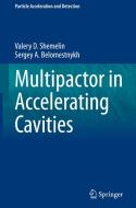 Multipactor in Accelerating Cavities di Sergey A. Belomestnykh, Valery D. Shemelin edito da Springer International Publishing