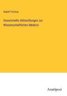 Gesammelte Abhandlungen zur Wissenschaftlichen Medicin di Rudolf Virchow edito da Anatiposi Verlag