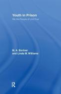 Youth in Prison di M. A. Bortner, Linda Williams edito da Taylor & Francis Ltd