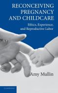 Reconceiving Pregnancy and Childcare di Amy Mullin edito da Cambridge University Press