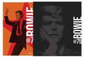 BOWIE AT 75 di MARTIN POPOFF edito da QUARTO PUBLISHING GROUP