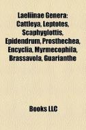 Laeliinae Genera: Cattleya, Leptotes, Sc di Books Llc edito da Books LLC, Wiki Series