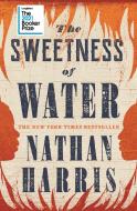 The Sweetness of Water di Nathan Harris edito da Headline