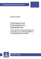 Prüfungsrecht und Prüfungspflicht der Registergerichte di Michael Klepsch edito da Lang, Peter GmbH