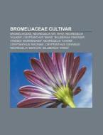 Bromeliaceae cultivar di Source Wikipedia edito da Books LLC, Reference Series