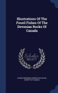 Illustrations Of The Fossil Fishes Of The Devonian Rocks Of Canada di Joseph Frederick Whiteaves edito da Sagwan Press