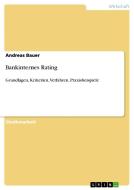 Bankinternes Rating di Andreas Bauer edito da GRIN Publishing