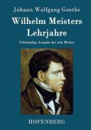 Wilhelm Meisters Lehrjahre di Johann Wolfgang Goethe edito da Hofenberg