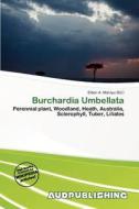 Burchardia Umbellata edito da Aud Publishing