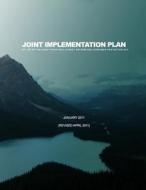 Joint Implementation Plan 301-326 of the Dodd-Frank Wall Street Reform and Consumer Protection ACT: January 2011(revised April 2011) di Board of Governors of the Federal Reserv edito da Createspace