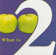 What Is Two? di Molly Carroll edito da Rourke Publishing (FL)