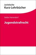 Jugendstrafrecht di Stefan Harrendorf edito da Beck C. H.