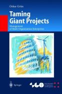 Taming Giant Projects di Oskar Grün edito da Springer Berlin Heidelberg