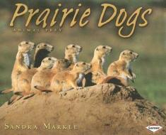 PRAIRIE DOGS di Sandra Markle edito da LERNER PUB GROUP