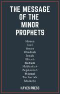 The Message of the Minor Prophets di Hayes Press edito da DODO PR
