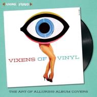 Vixens of Vinyl di David Boykin edito da ENTHUSIAST