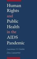 Human Rights and Public Health in the AIDS Pandemic di Lawrence O. Gostin, Zita Lazzarini edito da OXFORD UNIV PR