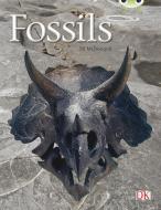 BC NF Gold A/2B Fossils di Jill McDougall edito da Pearson Education Limited