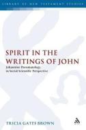 Spirit in the Writings of John: Johannine Pneumatology in Social-Scientific Perspective di Tricia Gates Brown edito da CONTINNUUM 3PL