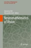 Neuromathematics of Vision edito da Springer-Verlag GmbH