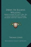 Drws Yr Eglwys Weledig: Wedi Ei Agor Yn Lled y Pen, Fel y Gallo Credinwyr a Phlant Bychain Ddyfod I Mewn (1799) di Thomas Jones edito da Kessinger Publishing