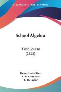 School Algebra: First Course (1915) di Henry Lewis Rietz, A. R. Crathorne, E. H. Taylor edito da Kessinger Publishing
