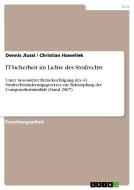IT-Sicherheit im Lichte des Strafrechts di Dennis Jlussi, Christian Hawellek edito da GRIN Verlag
