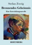 Brennendes Geheimnis di Stefan Zweig edito da Hofenberg