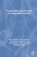 Youth Justice And Penality In Comparative Context di Barry Goldson, Chris Cunneen, Sophie Russell, David Brown, Eileen Baldry, Melanie Schwartz, Damon Briggs edito da Taylor & Francis Inc