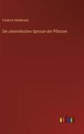 Die unterirdischen Sprosse der Pflanzen di Friedrich Hildebrand edito da Outlook Verlag