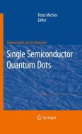 Single Semiconductor Quantum Dots edito da Springer-Verlag GmbH