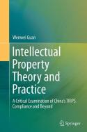 Intellectual Property Theory and Practice di Wenwei Guan edito da Springer Berlin Heidelberg