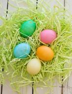 Notebook: Colorful Easter Eggs in Nest / 8.5 X 11 in / 110 Blank Lined Pages / Notebook for Composition, Writing / Journ di Creative Things edito da INDEPENDENTLY PUBLISHED