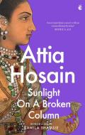 Sunlight On A Broken Column di Attia Hosain edito da Little, Brown Book Group