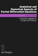 Analytical and Numerical Aspects of Partial Differential Equations edito da De Gruyter