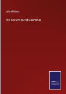 The Ancient Welsh Grammar di John Williams edito da Salzwasser Verlag